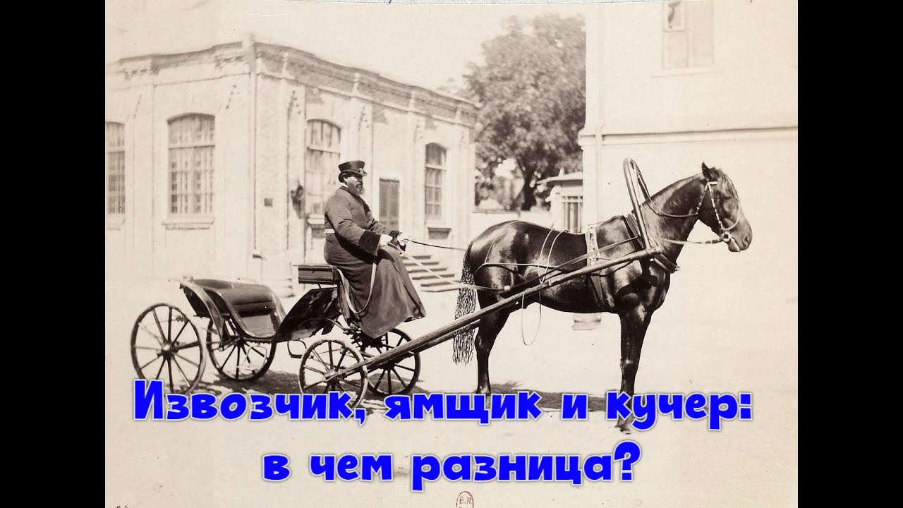 Извозчик, ямщик и кучер - в чем разница?