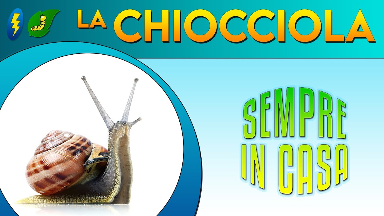 La Chiocciola, sempre in casa ⚡