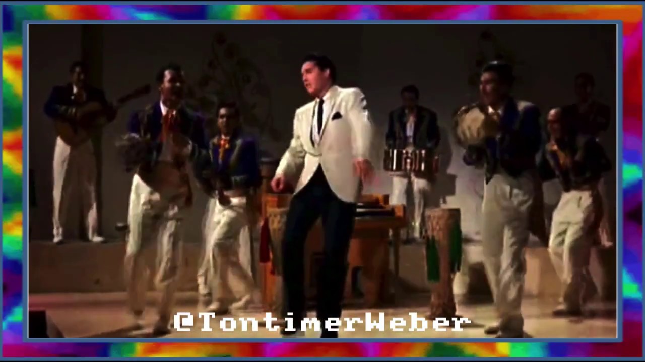 Amatoma Remastered ft. Lucas Grijander (PERFECT LIPSYNC) (Bossa Nova Baby PARODY)