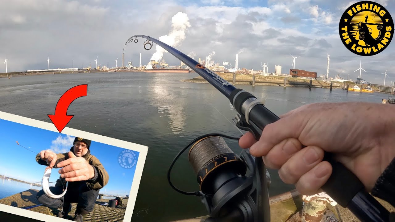 Zeevissen in IJmuiden met Kippenmaag, niet hartjes. FisfVlog #181
