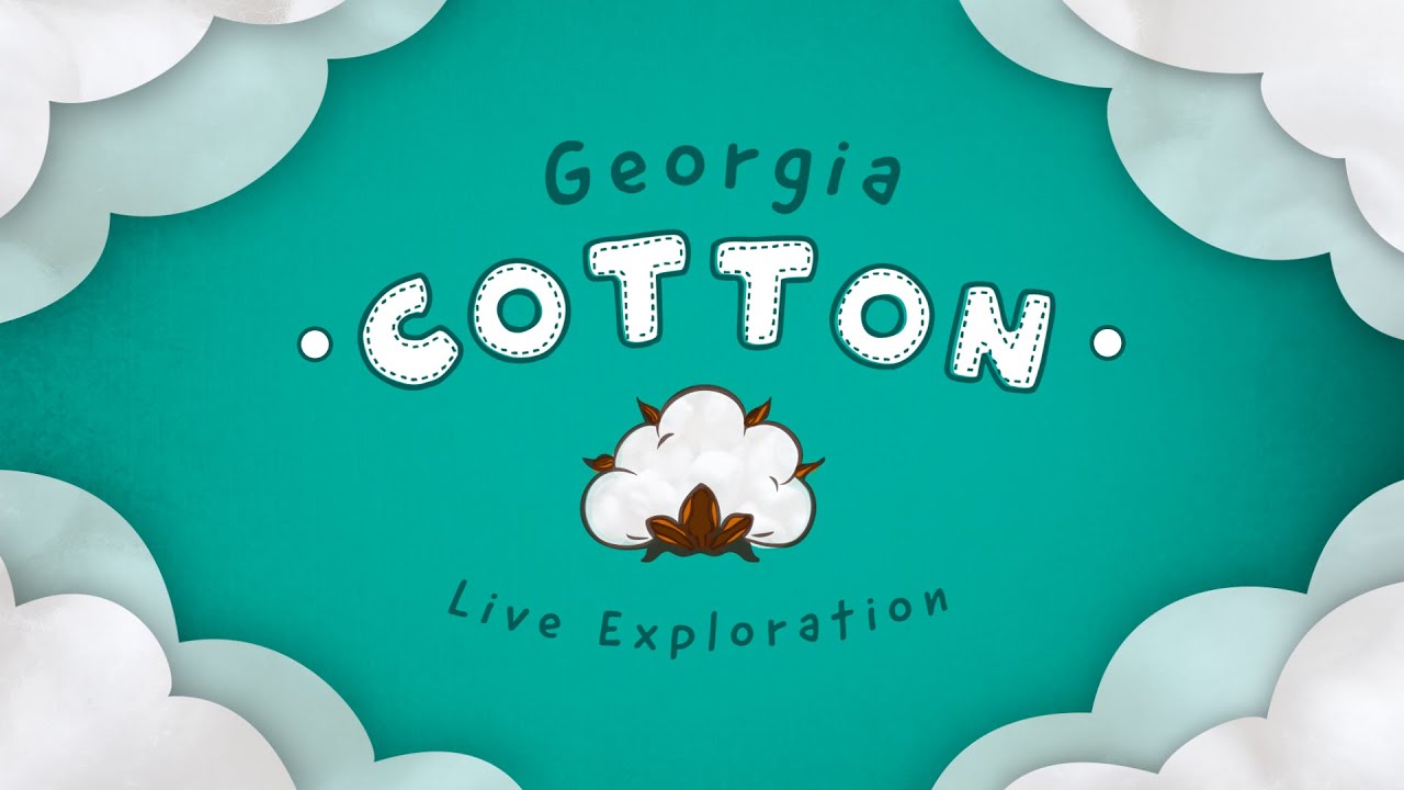Live Exploration: Georgia Cotton