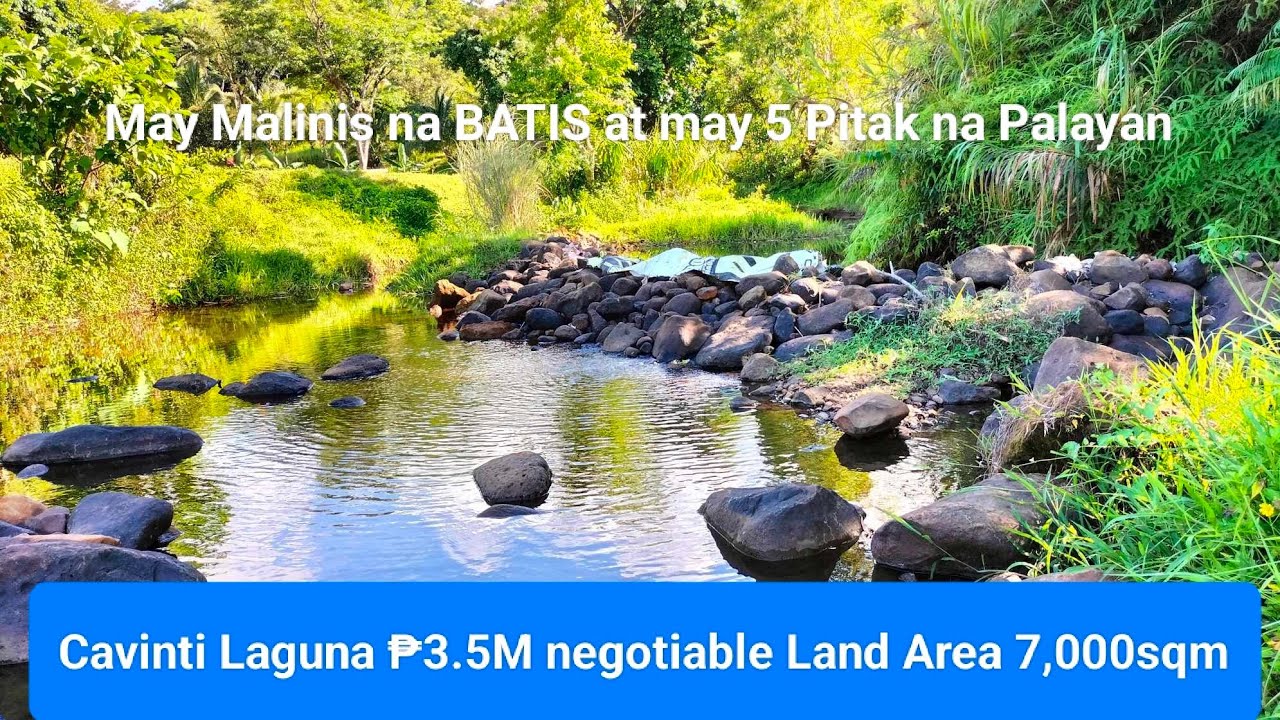 #V193 Farm Lot for sale may malinis na BATIS/ILOG ideal tayuan ng camping site in CAVINTI LAGUNA