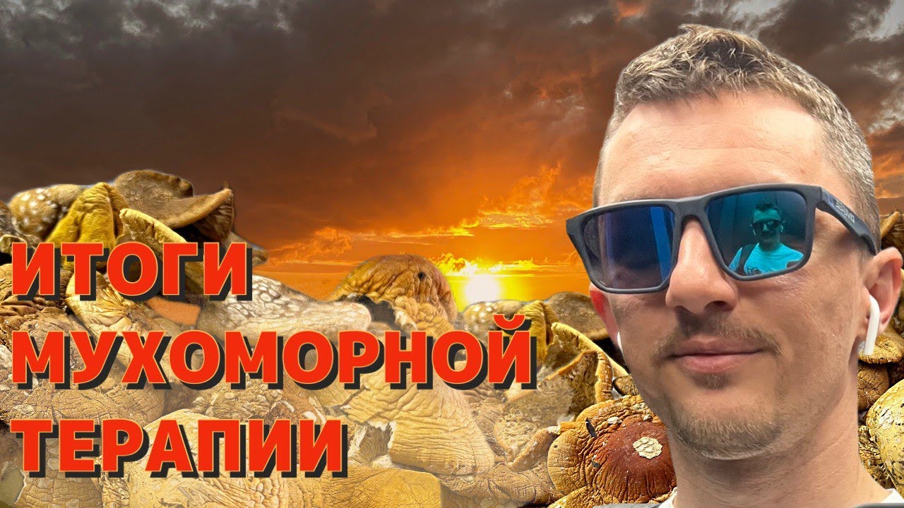 Мухоморная терапия. Итоги | Восемь месяцев под мухоморами | Делюсь опытом