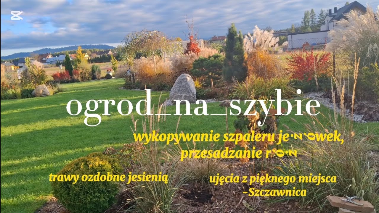 Dlaczego wykopałam szpaler jeżówek.🫢🌸 Najpiękniejsze rośliny jesienią. 🍁🌾🍂🌾