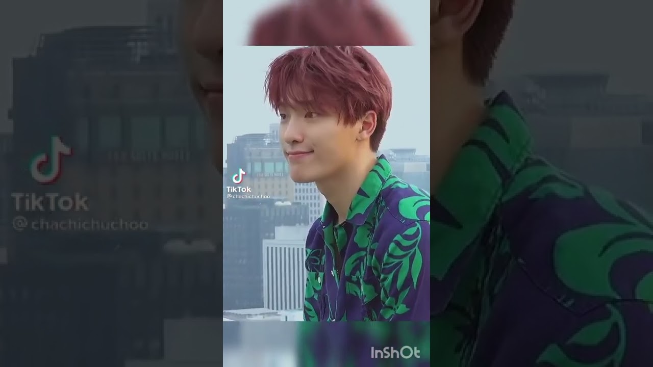 Seventeen Lee Chan | Dino Tiktok Compilation