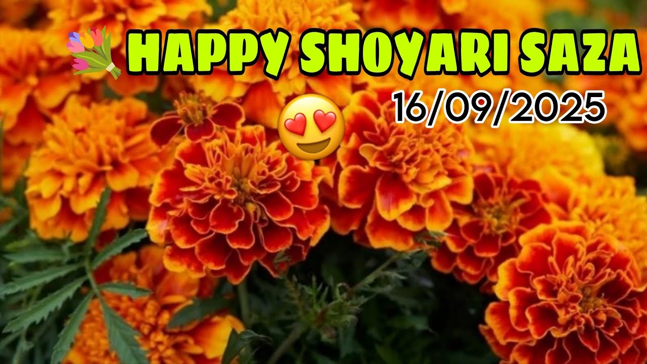 || Happy SHOYARI SAZA || 16-9-2025 || jub 🌿 || himachali local festival 😍||