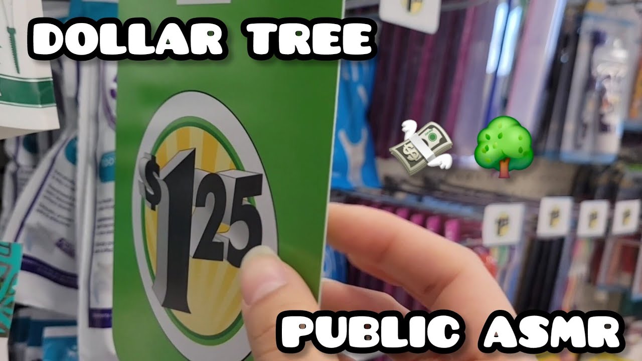 ASMR IN PUBLIC (Dollar Tree Edition 🌳)