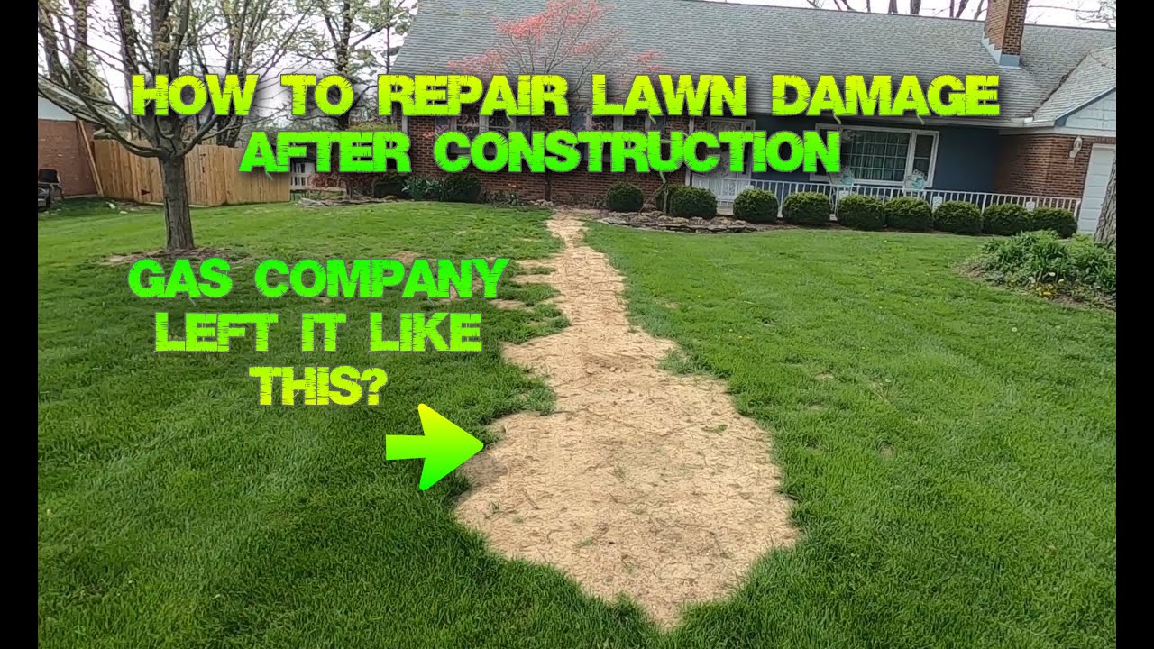 How to Repair Lawn Damage After Construction  : DIY REPAIR : Step by Step