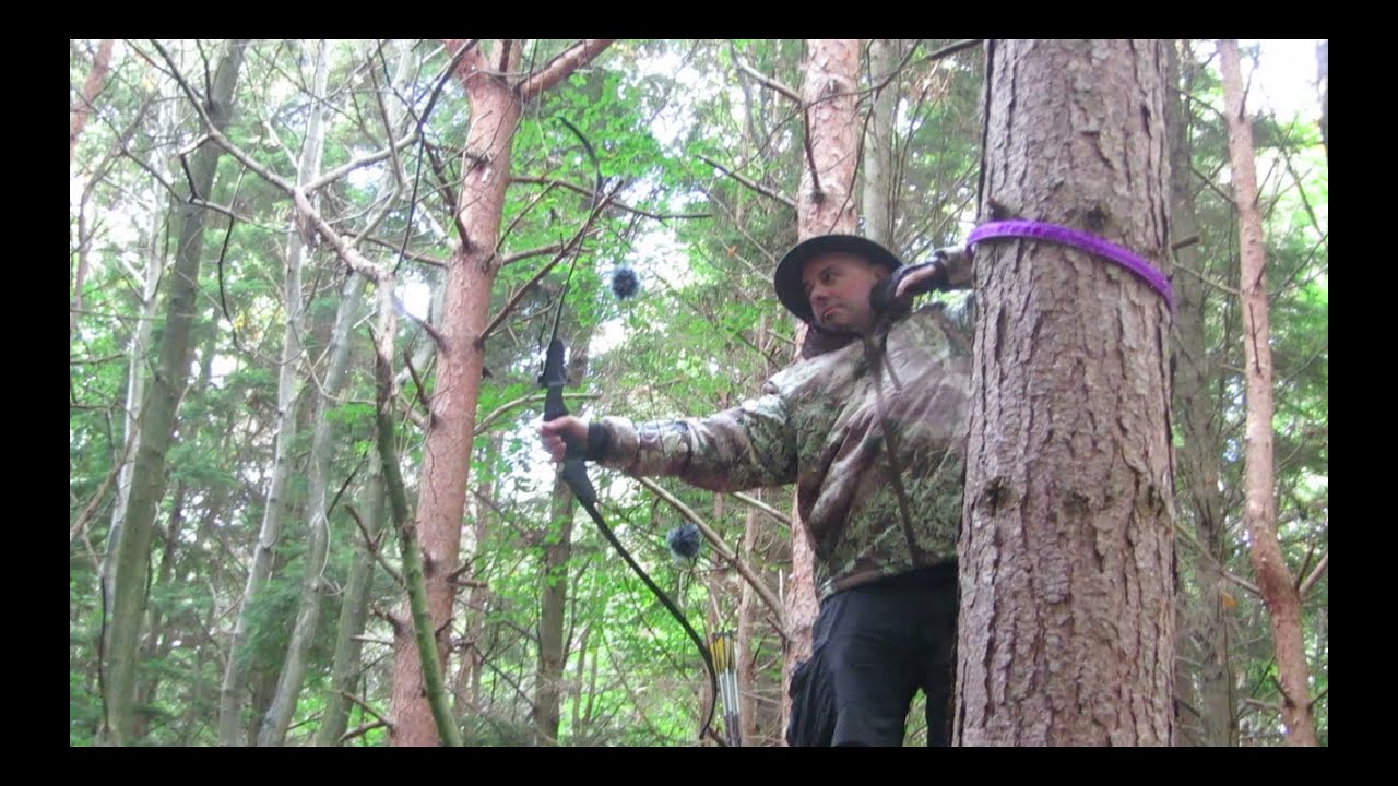 Silver Archery Test Range 3D Course Shoot