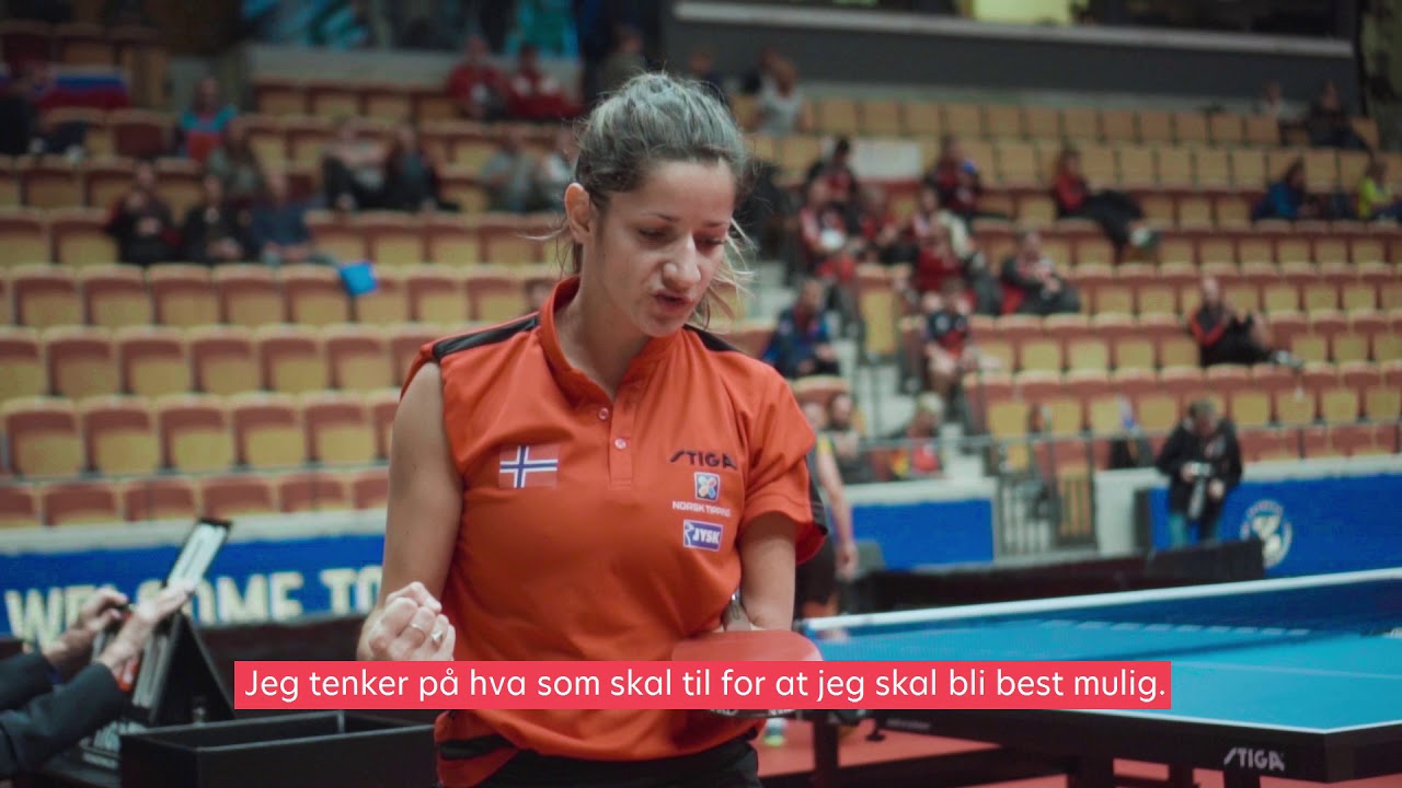 VI ambassad&oslash;r Aida Husic Dahlen