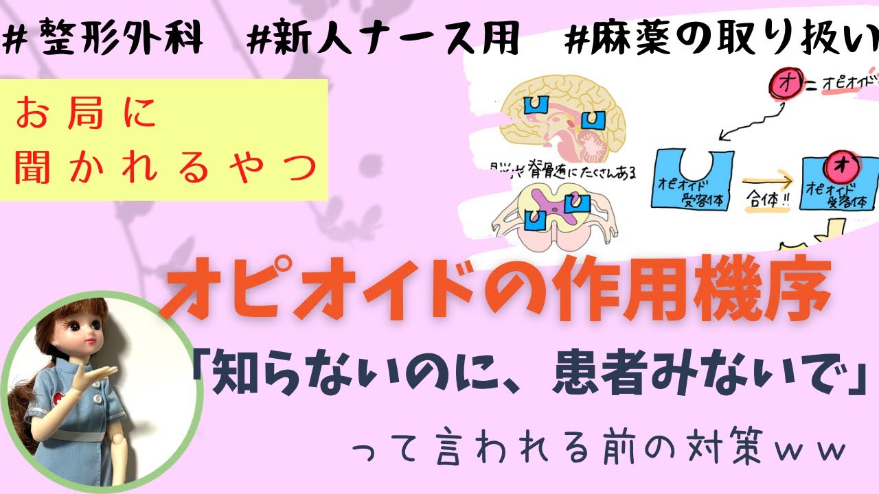 【鎮痛薬④】オピオイドどーやって作用するか知ってる？#麻薬取り扱い方#看護師#勉強