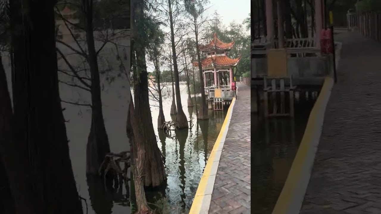 Año Novo Chinês