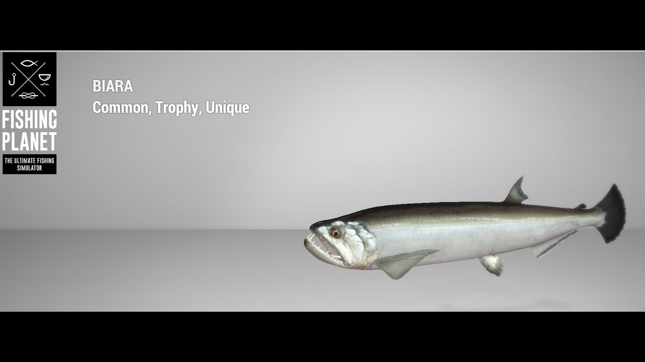 Fishing Planet - Maku-Maku Lake - Unique - Biara - Float