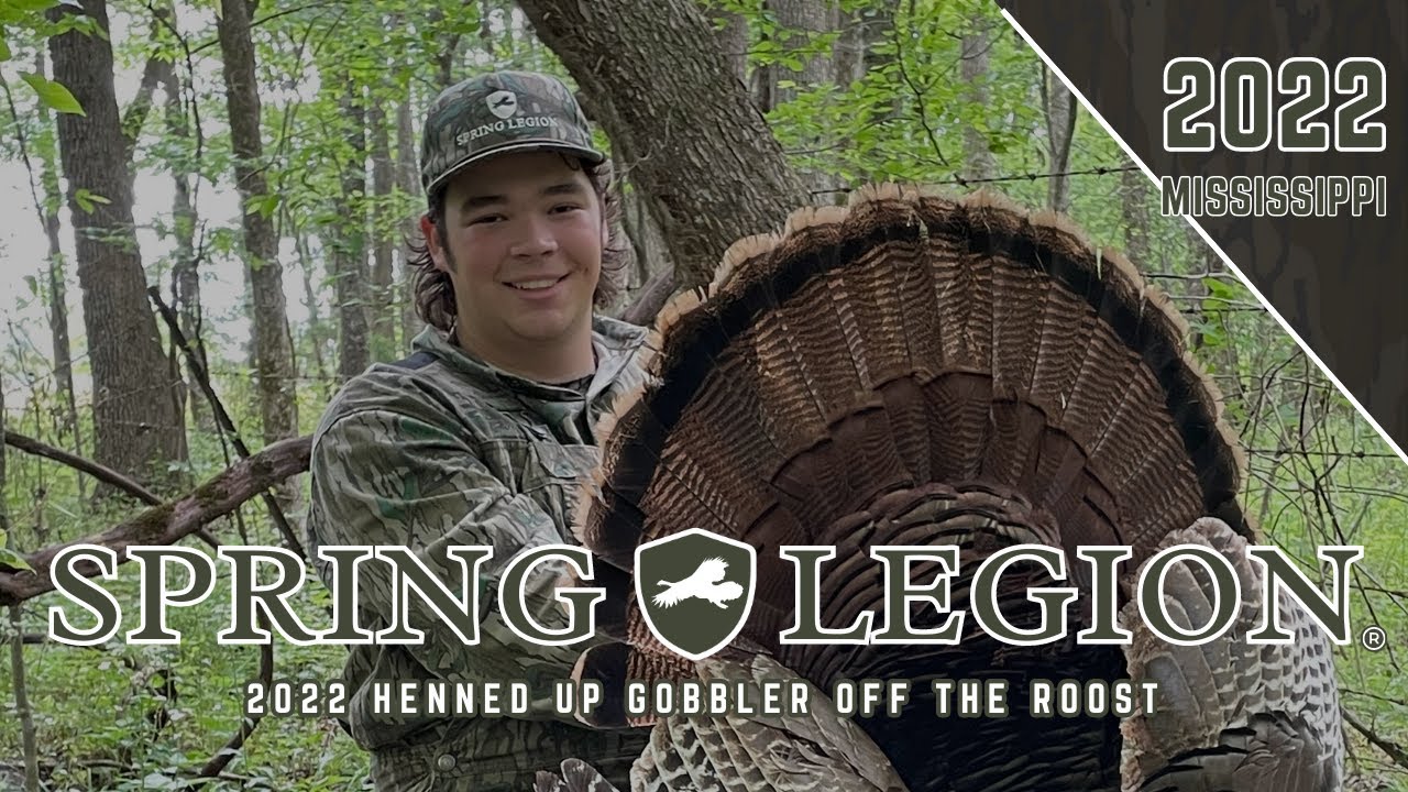 HARD GOBBLING MISSISSIPPI EASTERN - IN TIGHT and UP CLOSE ON THE ROOST