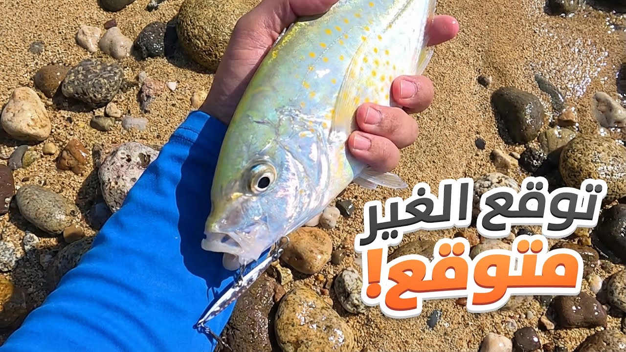 صيد الالترا لايت يفاجئك دائما 😅