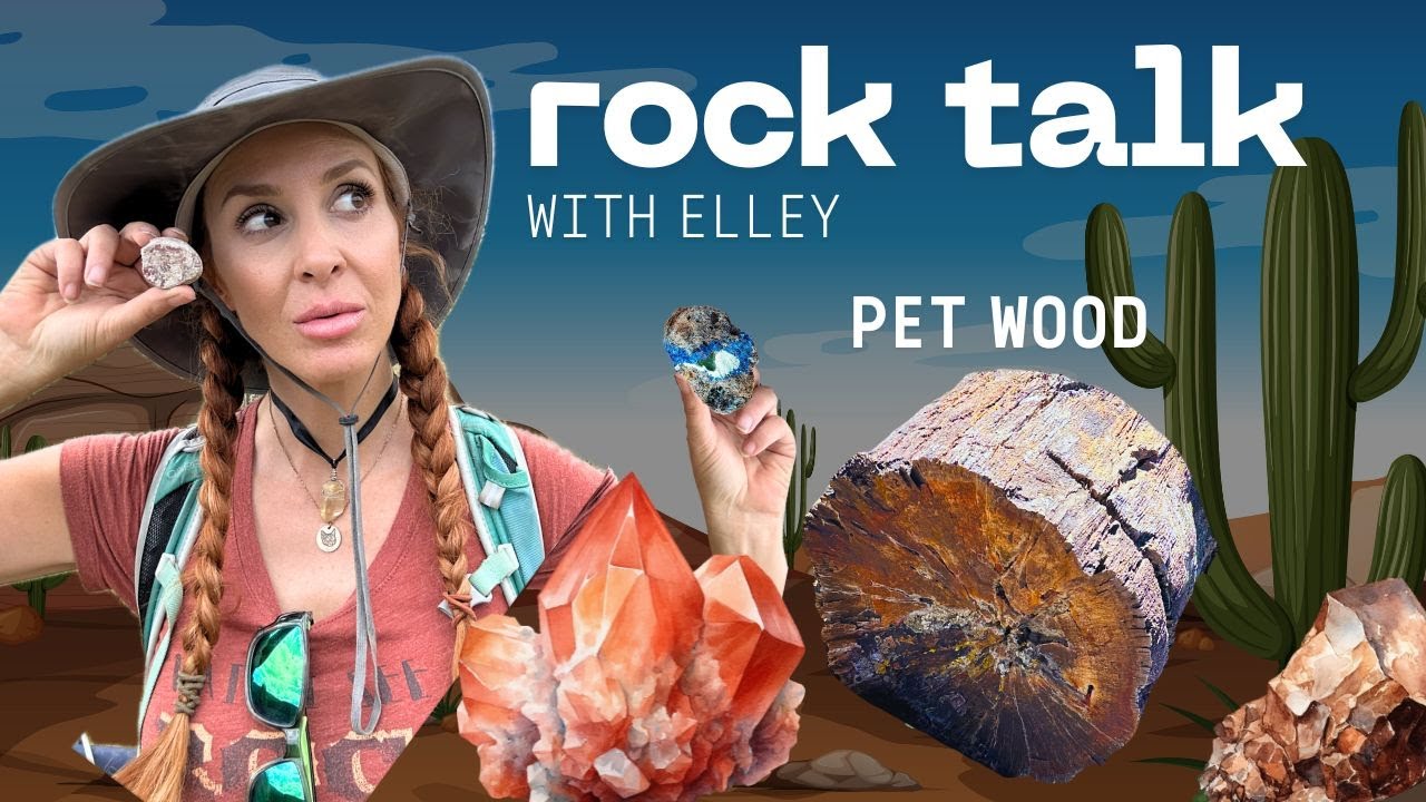ROCK Talk МОИ ЛЮБИМЫЕ ИСКОПАЕМЫЕ - Окаменевшее дерево, минералы, снятые одним дублем 