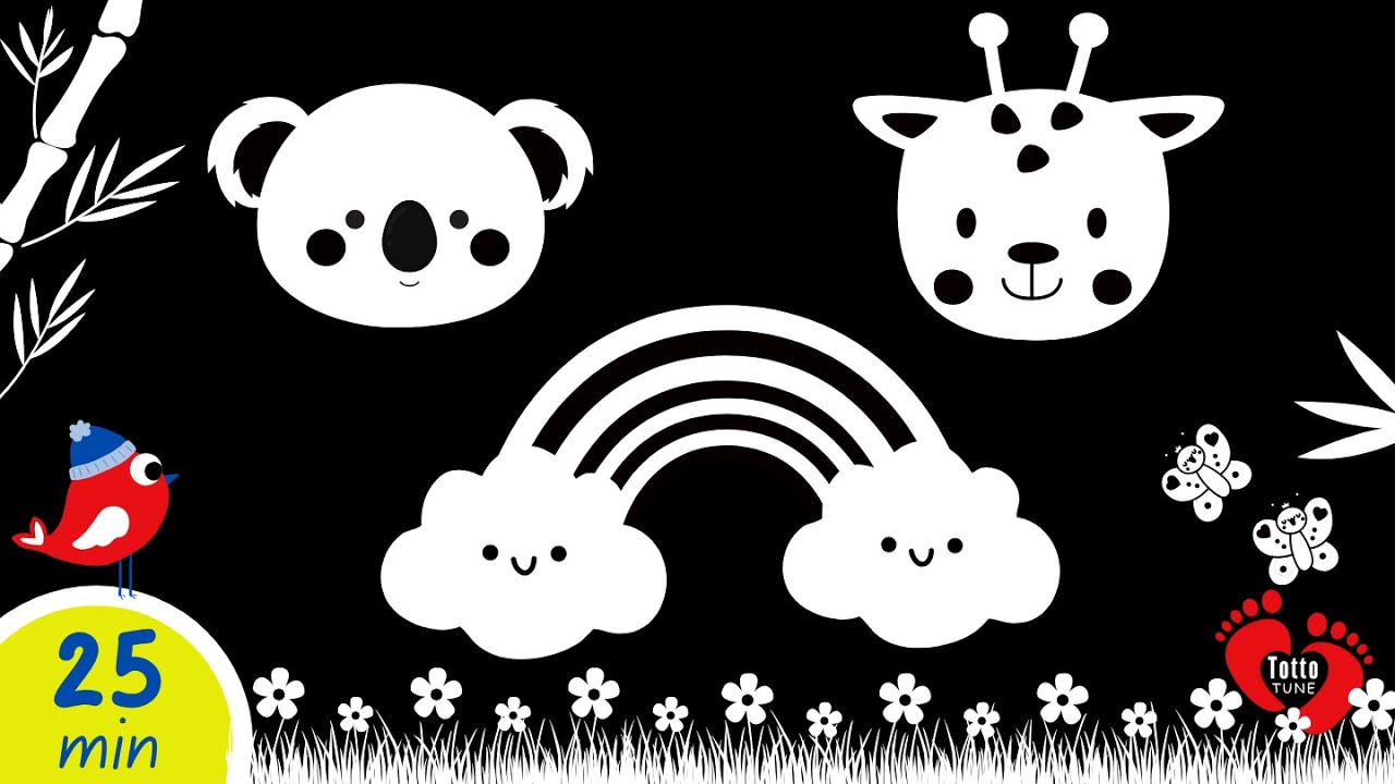 High Contrast Baby Sensory | Black & White Animal Video for Newborn