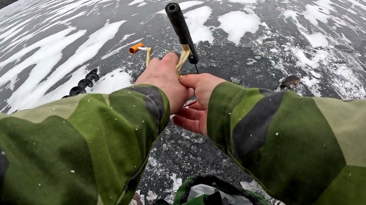 Rozpoczęcie sezonu podlodowego 2026(Pierwsze okonie )😁