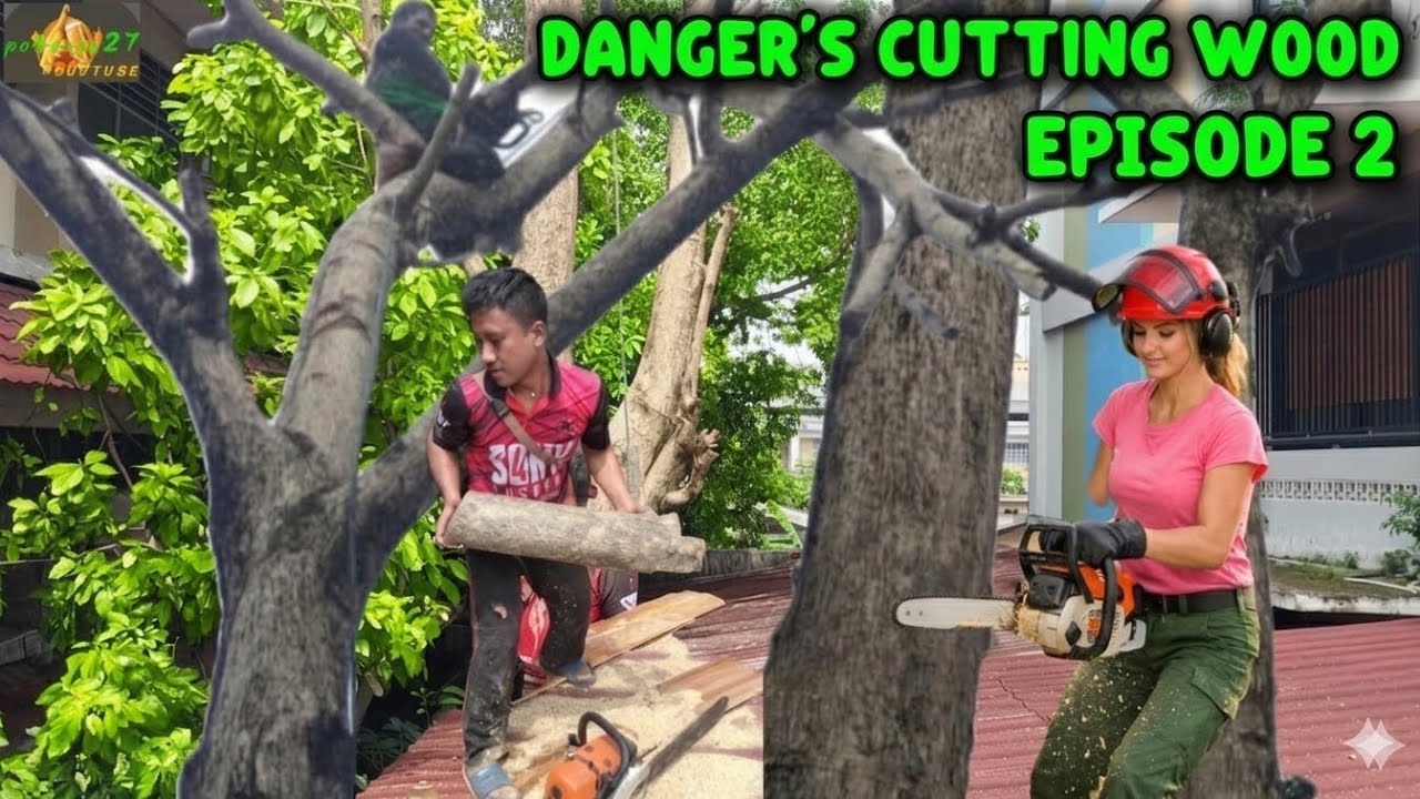 HIGH RISK, DANGER'S JOBS! Tree felling on the roof of the house episode 2 