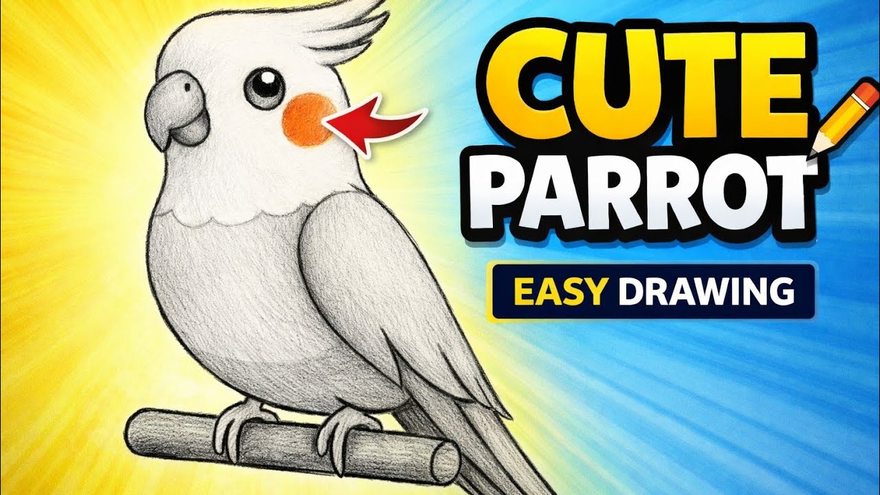 Cute Cockatiel Bird Drawing | Easy Pencil Sketch Tutorial for Beginners