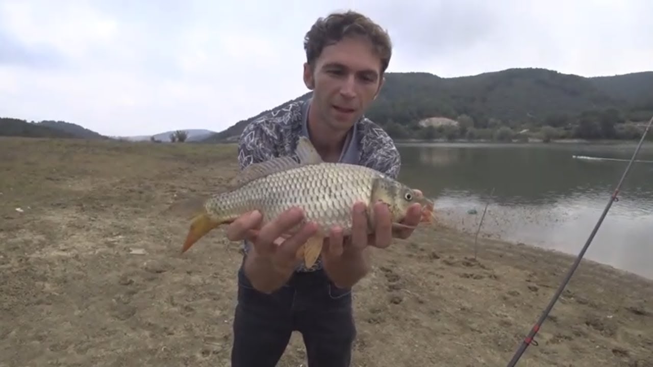 Sazan avı Kamp videomuz çok balık yakaladık / Carp hunting Camp video we caught a lot of fish