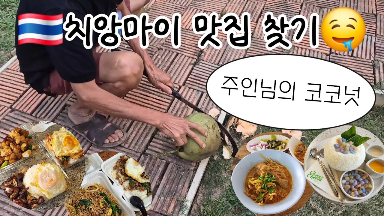 🇹🇭 치앙마이 3주 살기 | 원님만, 야시장, 소품샵 | 카오소이 매싸이, 치빗치바, 마틴스 키친, 카오카무, 배달 음식