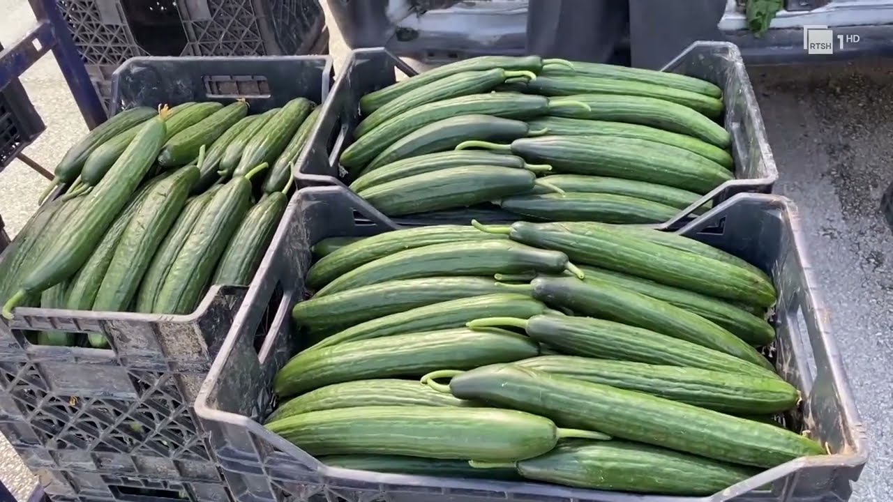 Luhatje të çmimit të fruta-perimeve, tregtarët e shumicës në Lushnje po përballen me mungesa