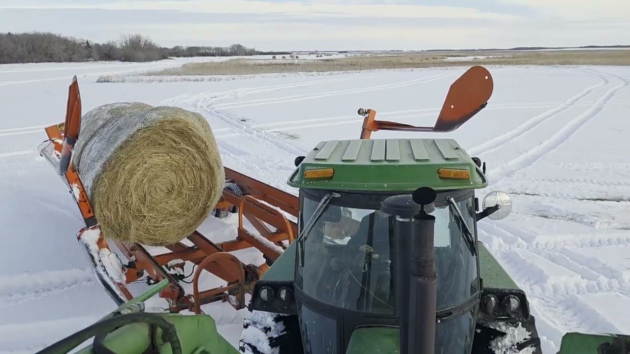 Trying to catch up after life happens...