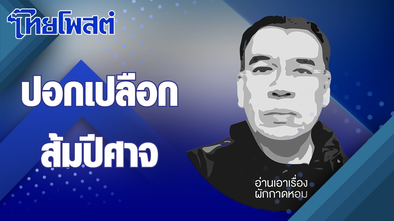 อ่านเอาเรื่อง : ปอกเปลือกส้มปีศาจ