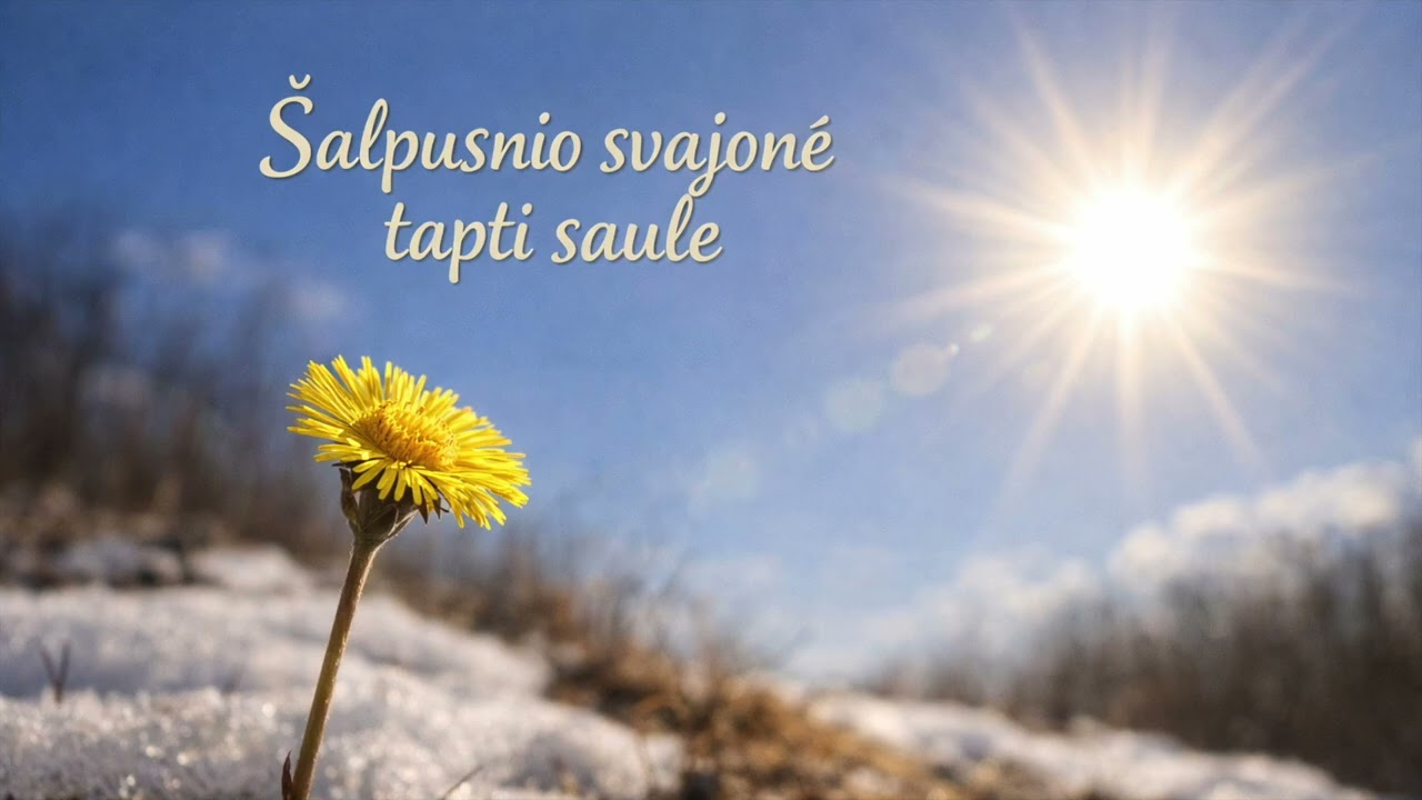 🌼ŠALPUSNIO SVAJONĖ TAPTI SAULE🌞 | Pasaka