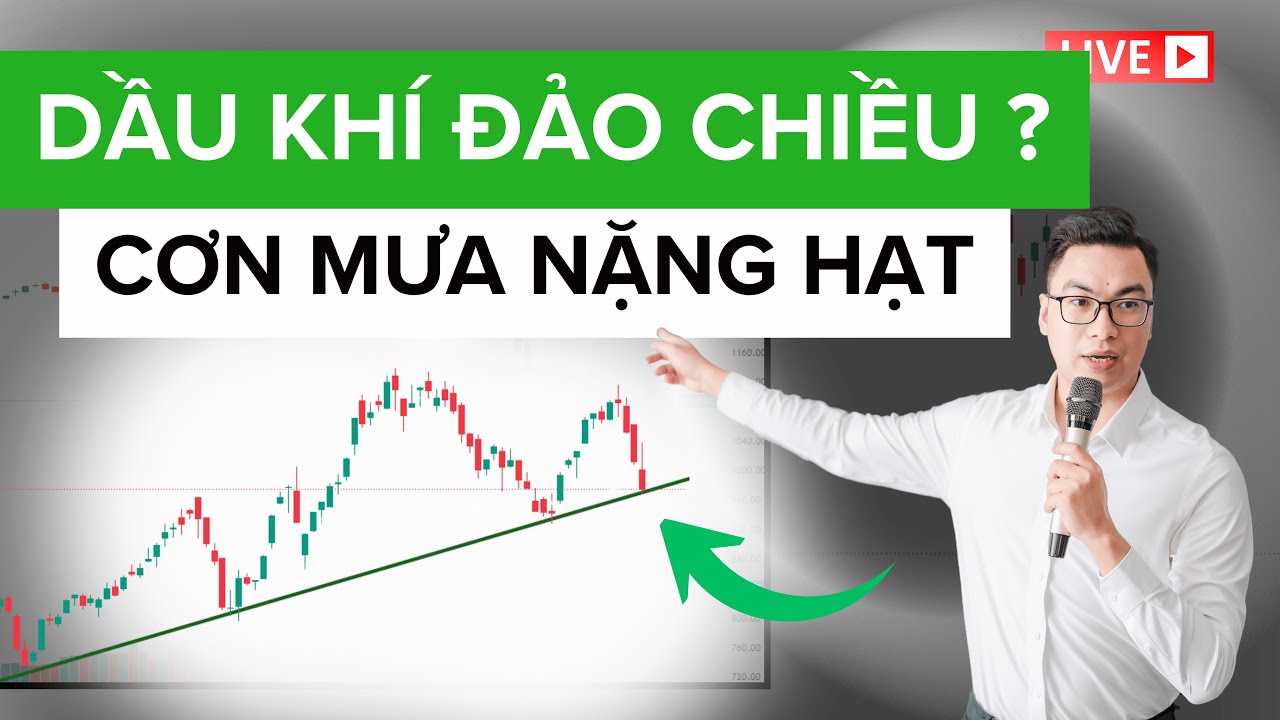 DẦU KHÍ ĐẢO CHIỀU - CƠN MƯA NẶNG HẠT| Tú Lê