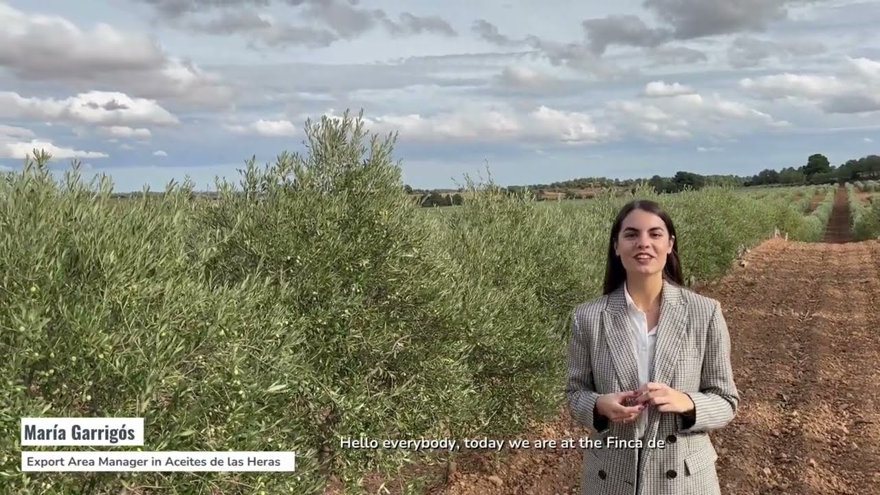 Interview to Luis Navarro Cañas, olive Farmer.