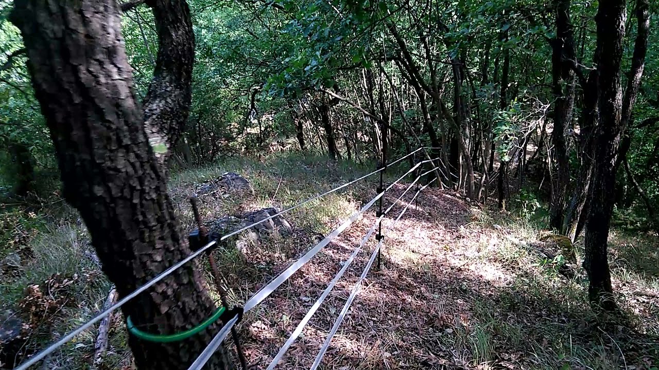 Casa Capuzzola. Recinzione elettrica per bovini per sfruttamento sottobosco