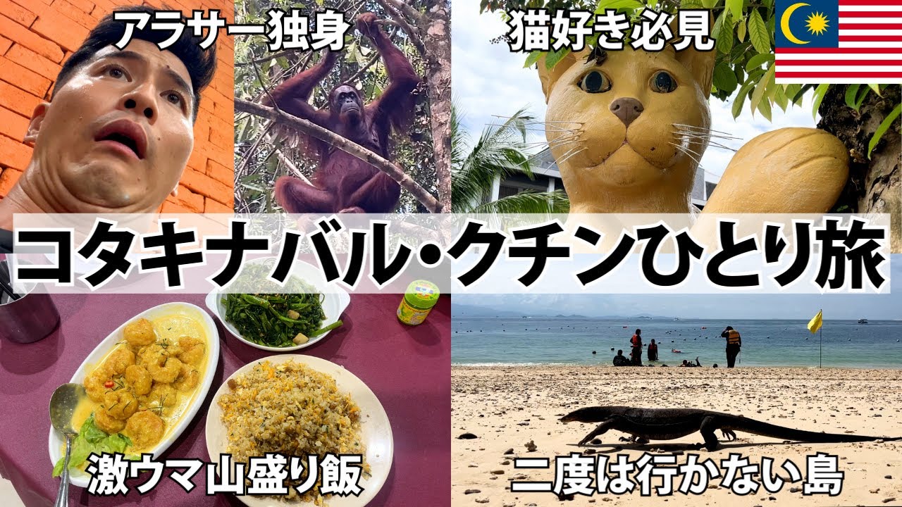 マレーシア・ボルネオ島ってこんな感じなんだ。猫の街・クチンと港町・コタキナバルに行ってみた。マレーシア3週間ひとり旅後編