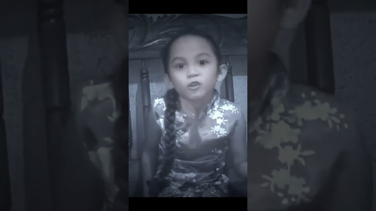 PANDEMIC VLOGGER ERA