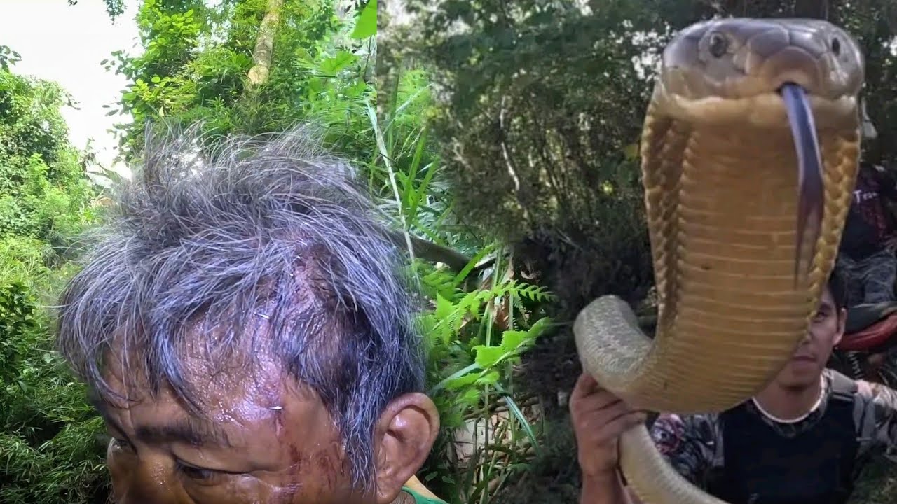 BASAG ANG ULO SA MGA TUKLAW AT ATAKI NG KING COBRA