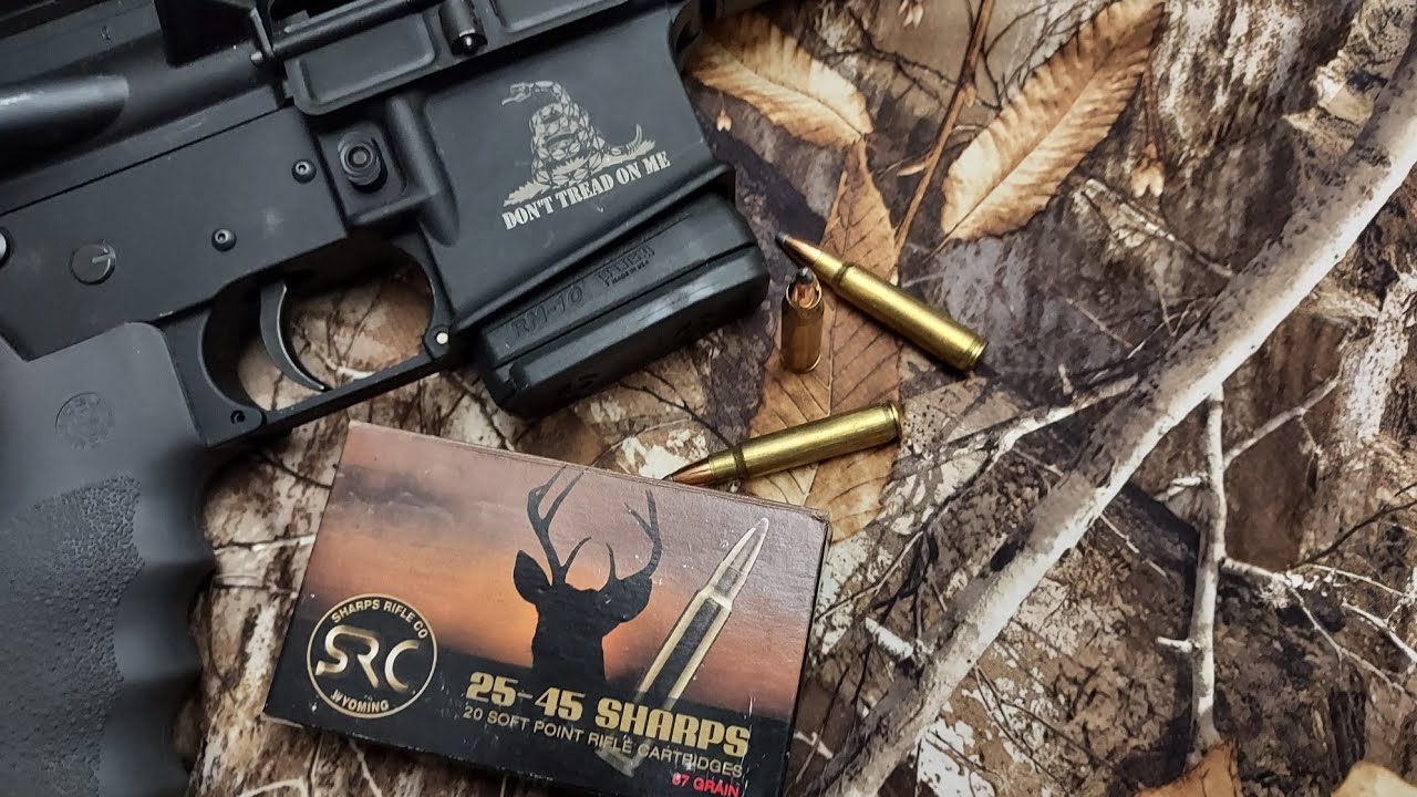 Патроны Sharps калибра .25-45. Ах, как бы всё могло быть. Возможно, это ещё возможно.