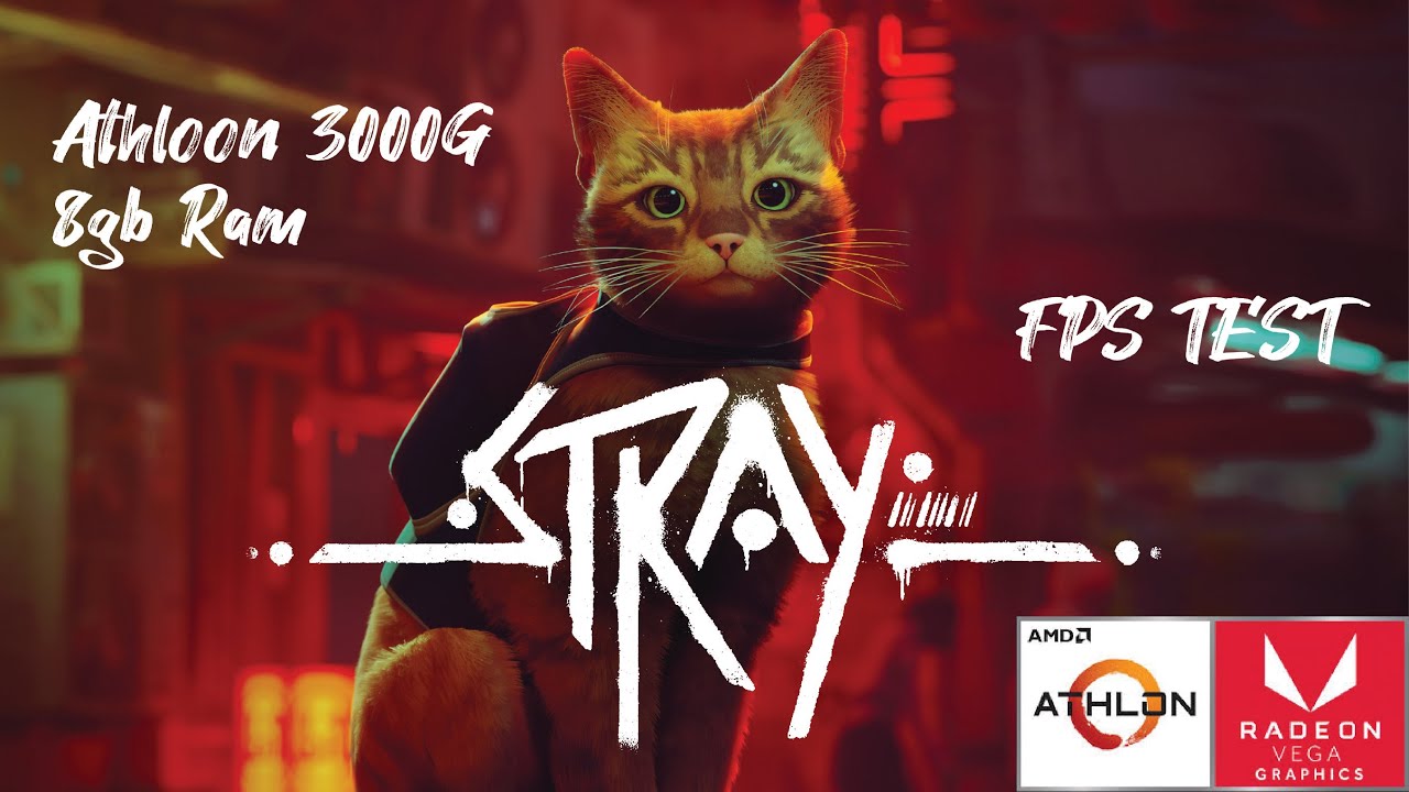 Stray - AMD Athlon 3000g Radeon Vega 3 Graphics