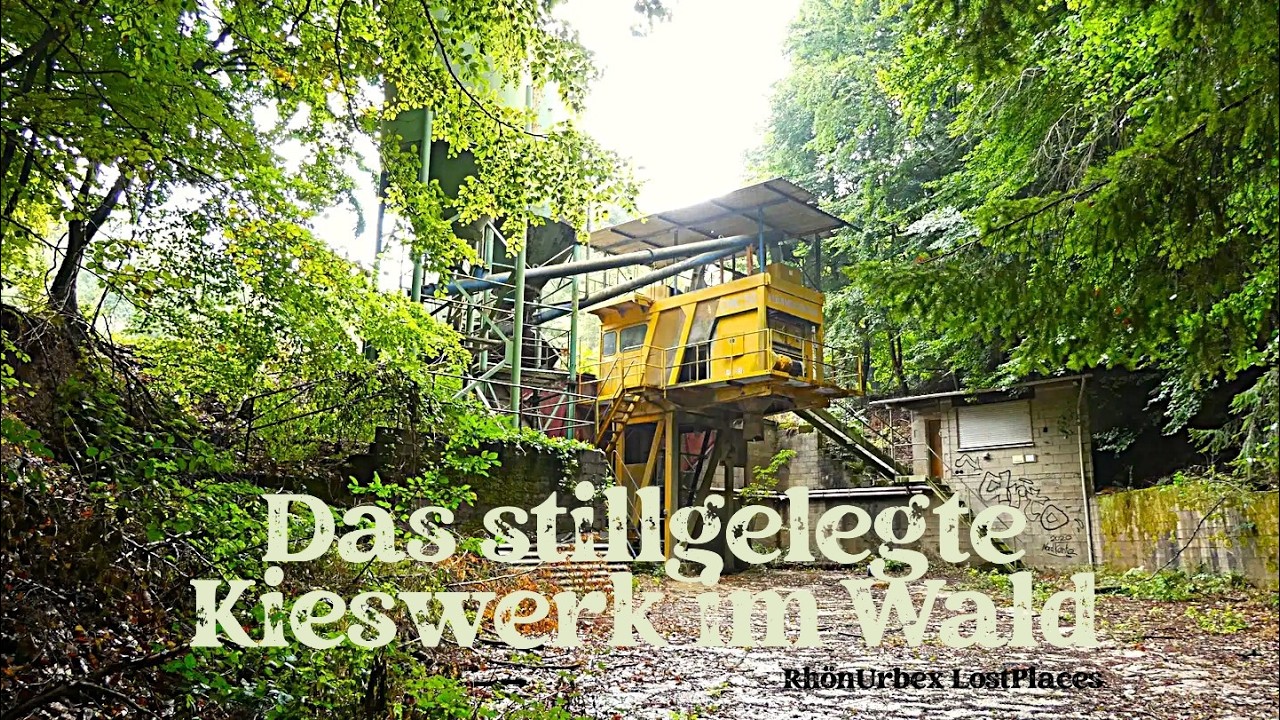 DAS STILLGELEGTE KIESWERK IM WALD