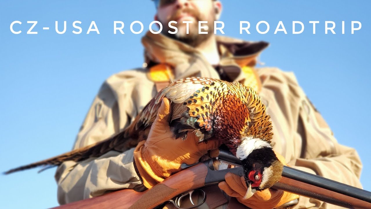 CZ-USA Kansas Rooster Road Trip - Pheasant and Quail Hunting