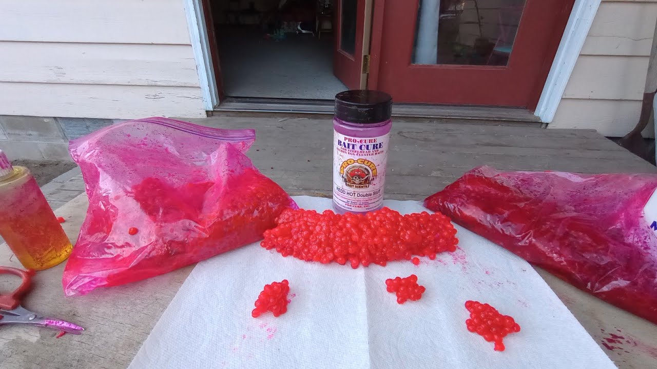 como curar huevas de salmón para usarlas de carnada.🐟🐟🐟🔥🔥🔥🐠🐠🐠