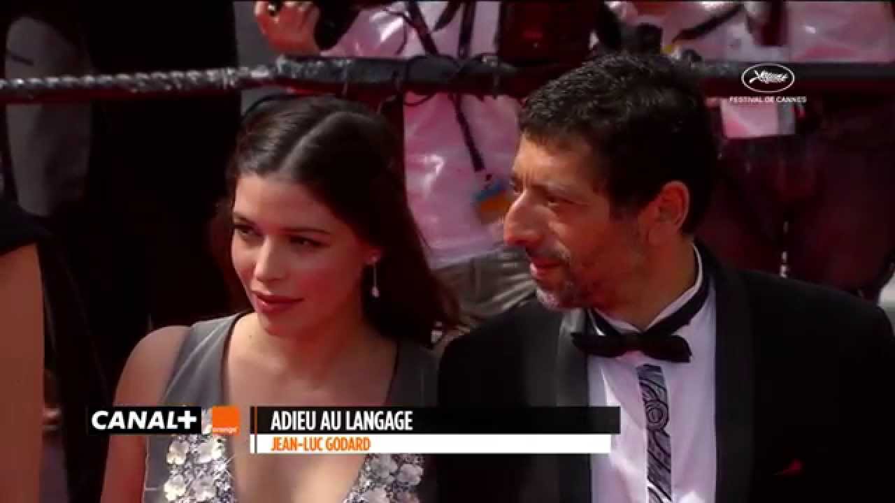 Cannes 2014 - ADIEU AU LANGAGE : Mont&eacute;e des Marches