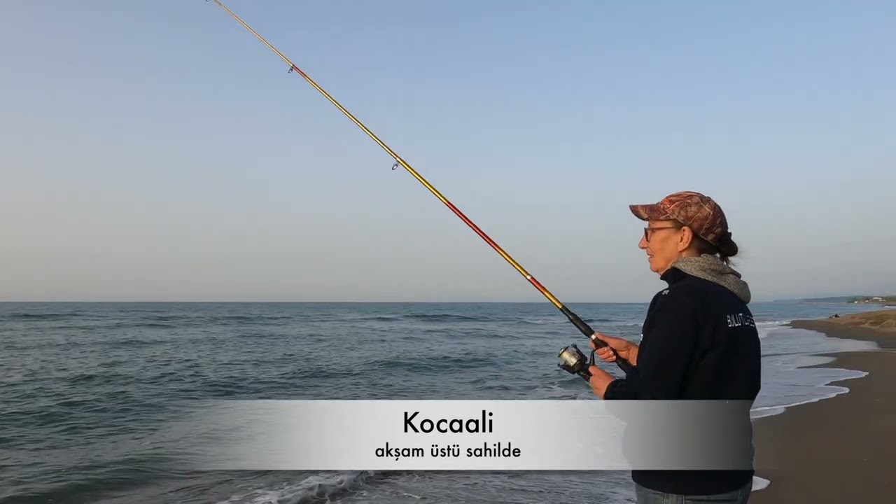 Kocaali sahilde olta ile istavrit avı
