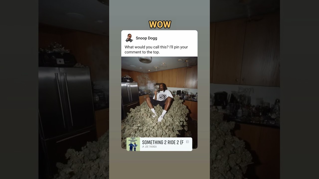 Who Joining Snoop Dogg On The High Times Mountain? #snoopdogg #hightimescannabiscup #dopesmoker