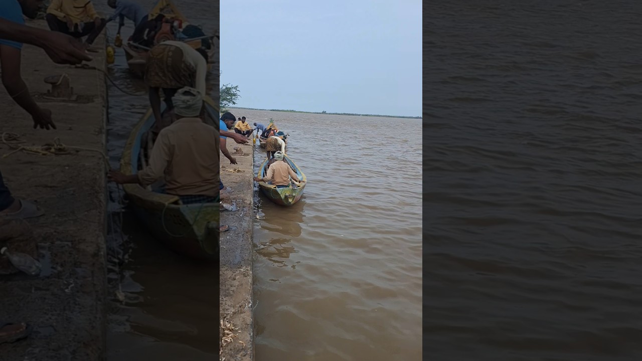 Antarvedi harbour part -2 #antarvedi #harbour #fishingharbour #fishing #fish #shorts #short #harbor
