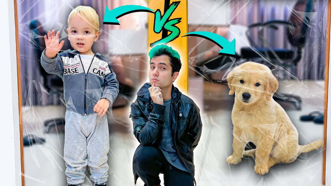 BEBÊ VS CACHORRINHO ! QUEM É O MAIS INTELIGENTE ? - Vida de Maloucos #10
