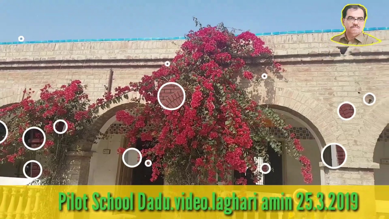 Govt. pilot High School Dadu Sindh Pakistan