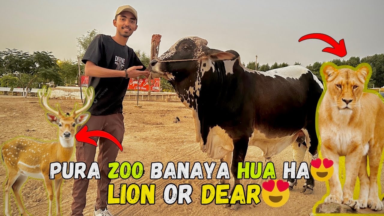 Shok Pura Karne Ka Lia Gadap Pohanch Ga e🤩| Lion Or Dear Sa Bhi Mil Lia😍