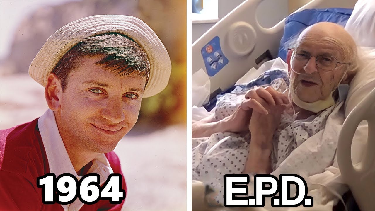 Así Lucen Los Actores de La Isla de Gilligan en 2023