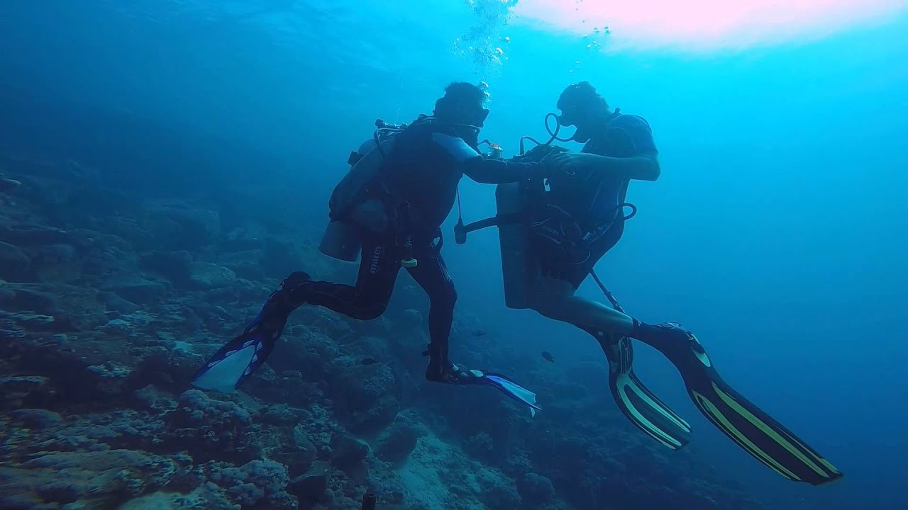 Diving in Saudi Arabia